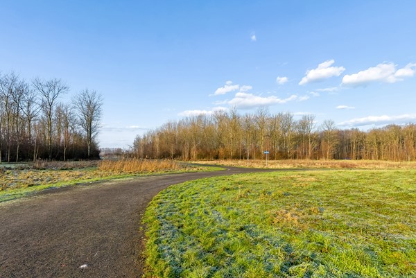 SCANDINAVIEKADE 179-68.jpg